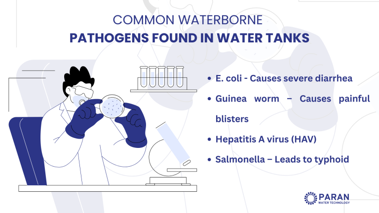 Common pathogens found in water graphic
